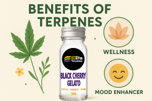 Benefits of Terpenes | Elite Terpenes