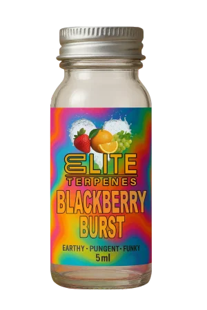 Blackberry Burst | Elite Terpenes