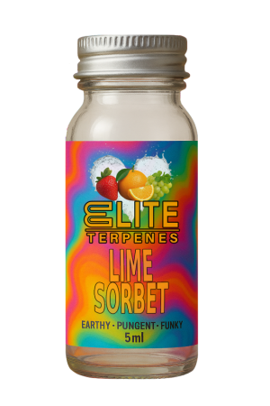 Lime Sorbet | Elite Terpenes