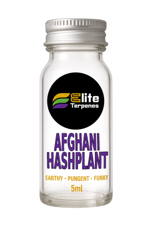 Afghani Hashplant