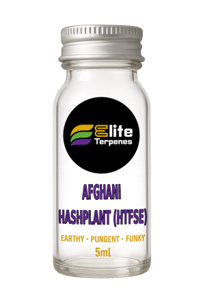Afghani Hashplant (HTFSE)