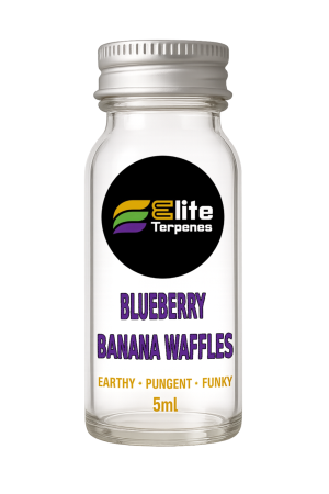 Glass dropper bottle with white label: 'Elite Terpenes' and flavor 'Blueberry Banana Waffles' (5ml).