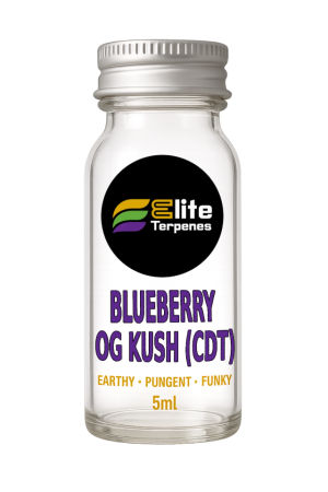 Blueberry OG Kush (CDT)