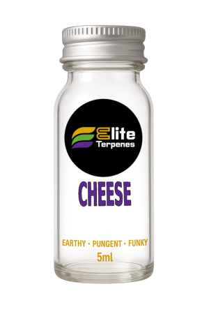 Cheese
