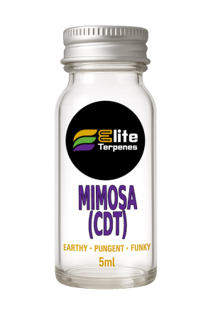 Mimosa (CDT)