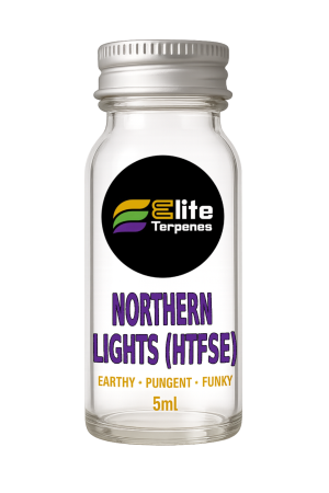 Northern Lights (HTFSE)