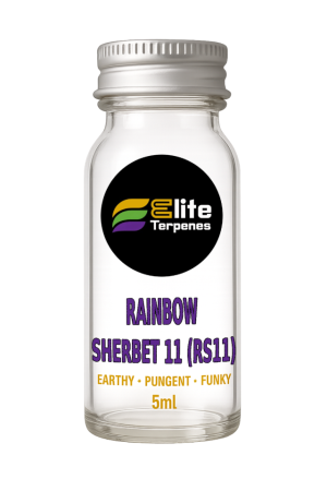 Rainbow Sherbet 11 (RS11)