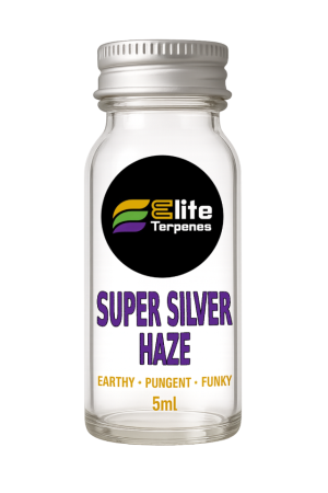 Super Silver Haze